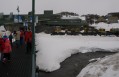 0806-1315 Perisher valley (8060193)